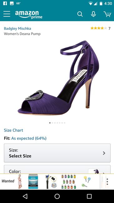 Bridal Shoes