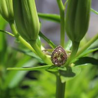 Etsy wedding rings - 1