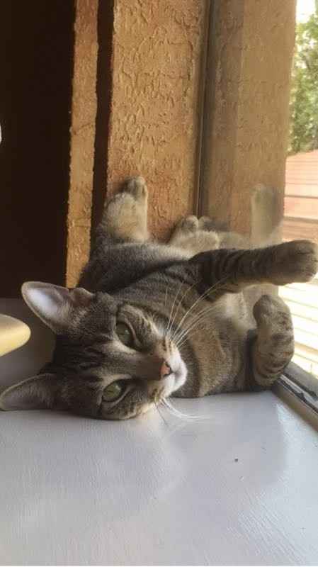 NWR- pets! We love them show me yours :)
