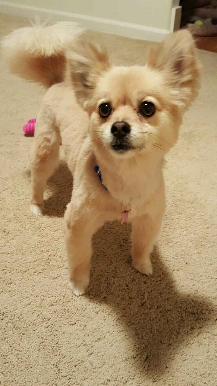 The line of 1000+ people