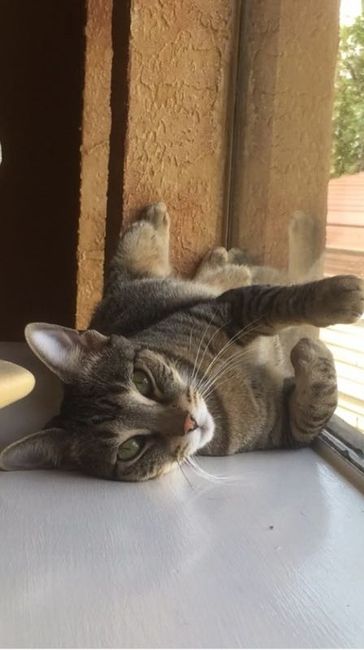 NWR- pets! We love them show me yours :)