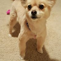 The line of 1000+ people