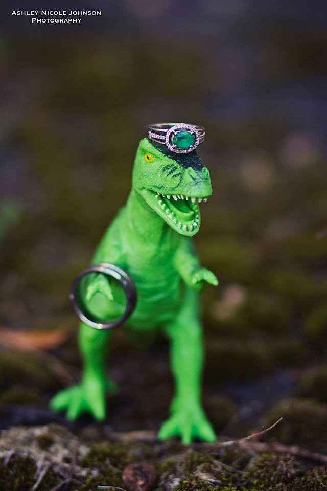 my engagement pics! pic heavy...promise!