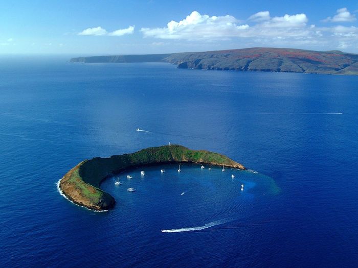 Honeymoon planning!! Hawaii or San Francisco