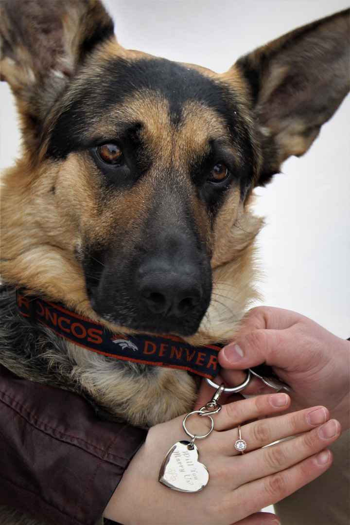 Brides of 2020!  Show us your ring! - 2