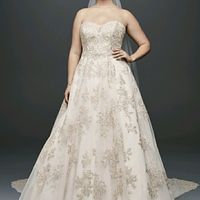  Wedding dress dilema - 2
