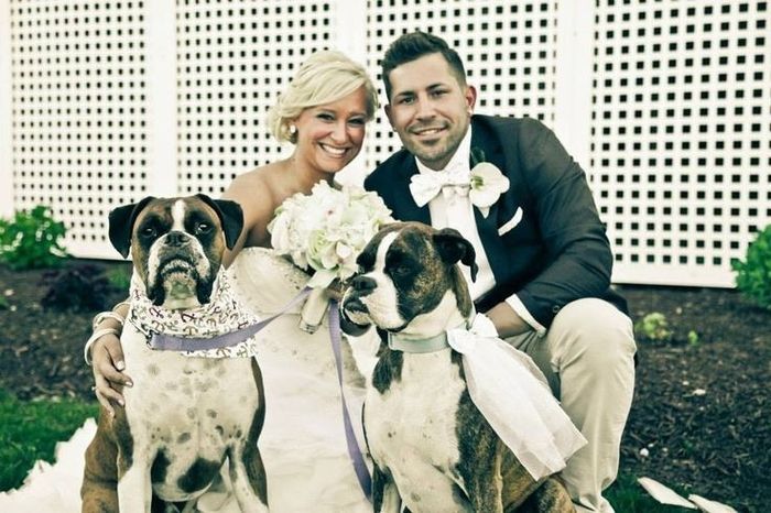 Pets at weddings!!