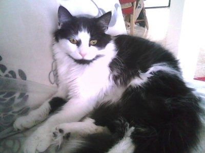 NWR - Furry babies