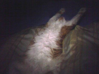 NWR - Furry babies