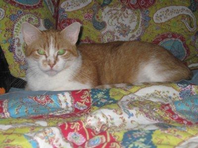 NWR - Furry babies