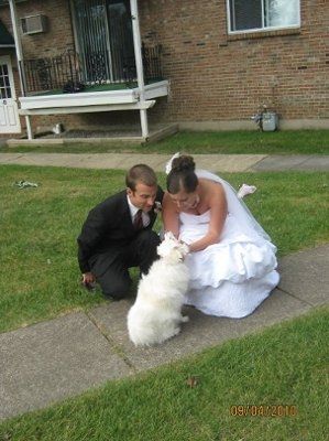 your favorite wedding pics