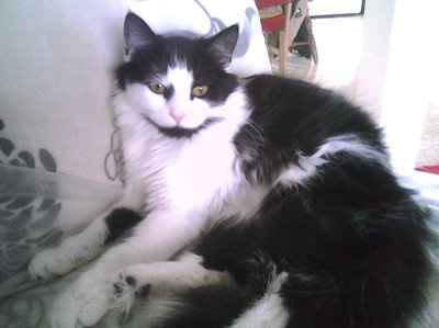 NWR - Furry babies