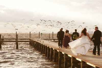 ALUMNI Brides of Wedding Wire....