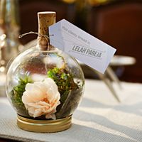 terrarium wedding favor