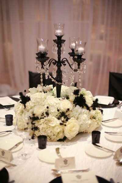 The Great Centerpiece Dilemma  (Feat. STDs)