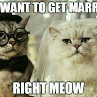 September Brides and Grooms! It's here!!
