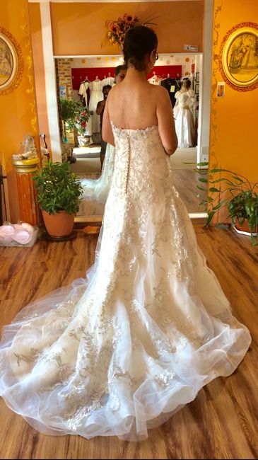 Need everyone’s advice again 2