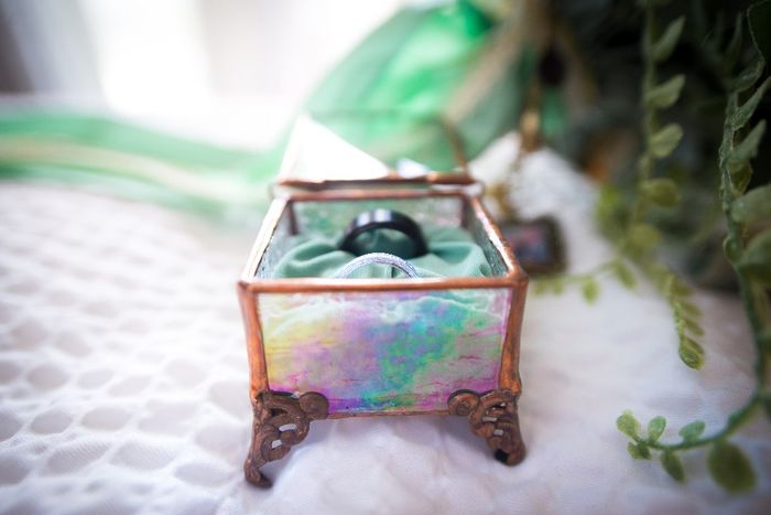 The ring box. You can't see it but the lid has a brass dragonfly on it.