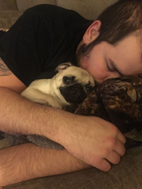 NWR: post pics of your pets!!