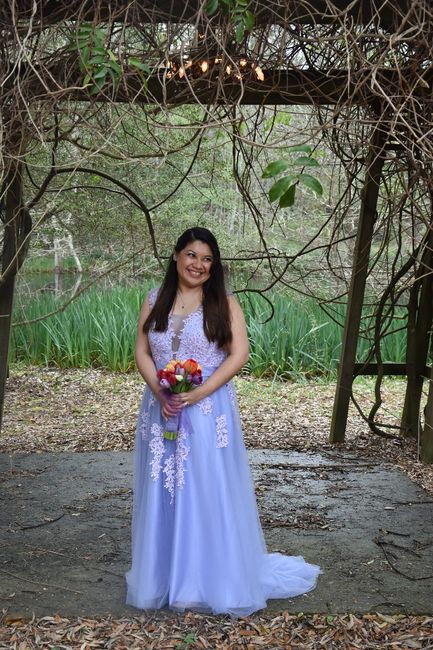 The dress 