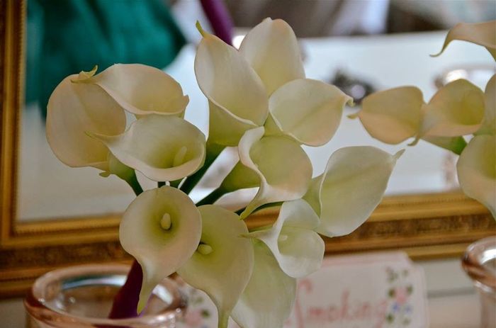 Flower Budget
