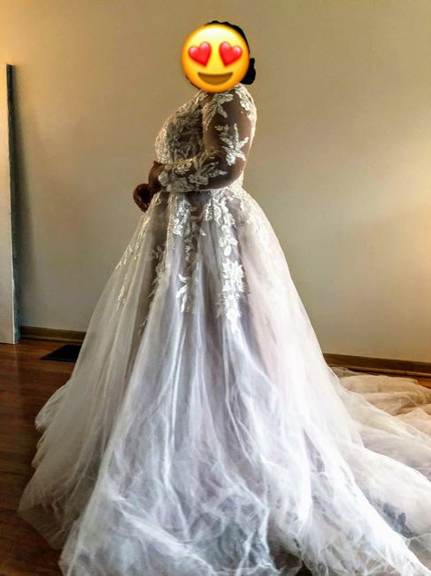 Any Plus Size Brides Out There? 1