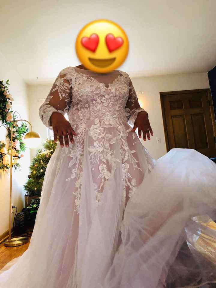 Plus size bride having trouble with white dress - 1