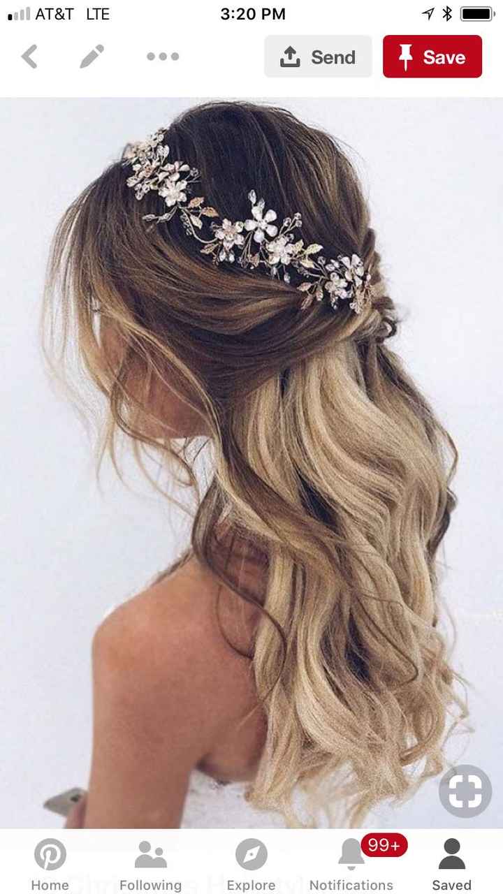 Hair accessory overkill?? - 1