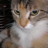 Let's see your pets!
