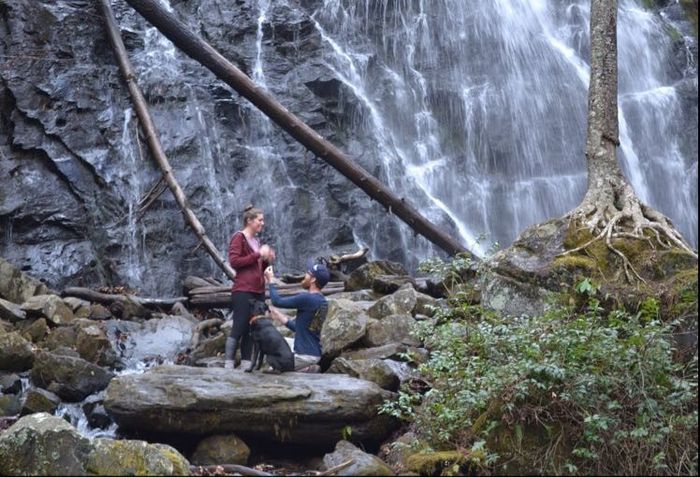 Let's see your proposal pictures!
