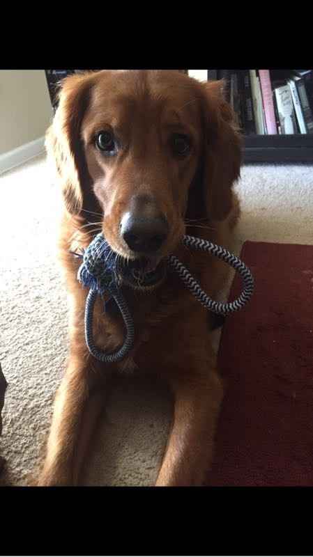 I should probably introduce myself!