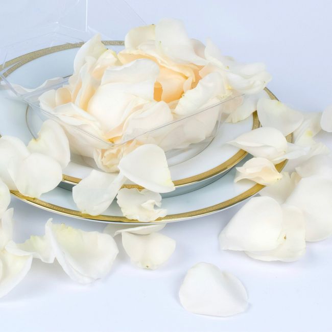 What’s missing?? 3