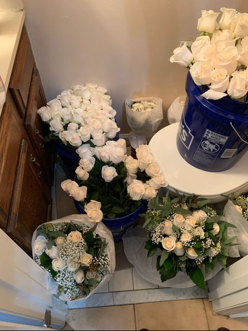 Sam’s Club Flowers (picture Heavy) 4