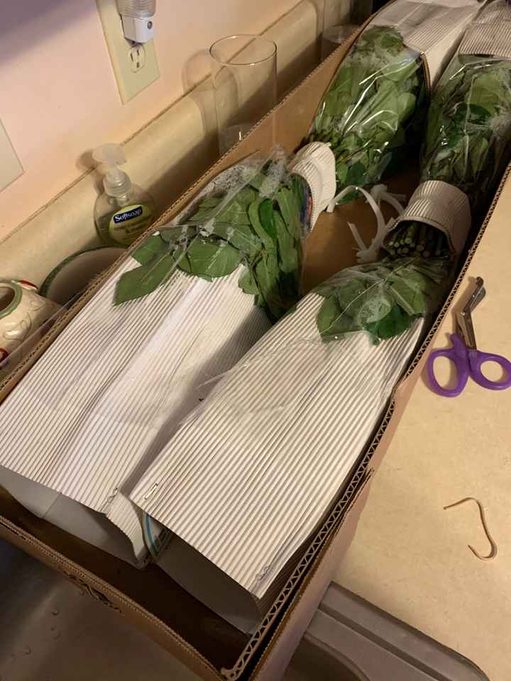 Sam’s Club Flowers (picture Heavy) - 2