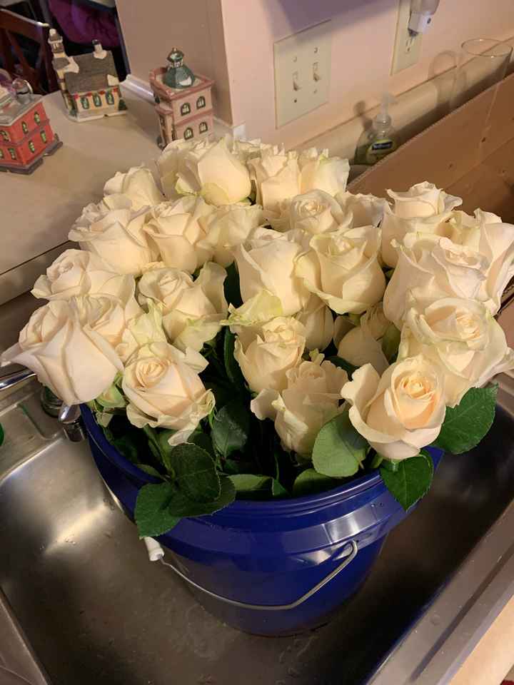 Sam’s Club Flowers (picture Heavy) - 5