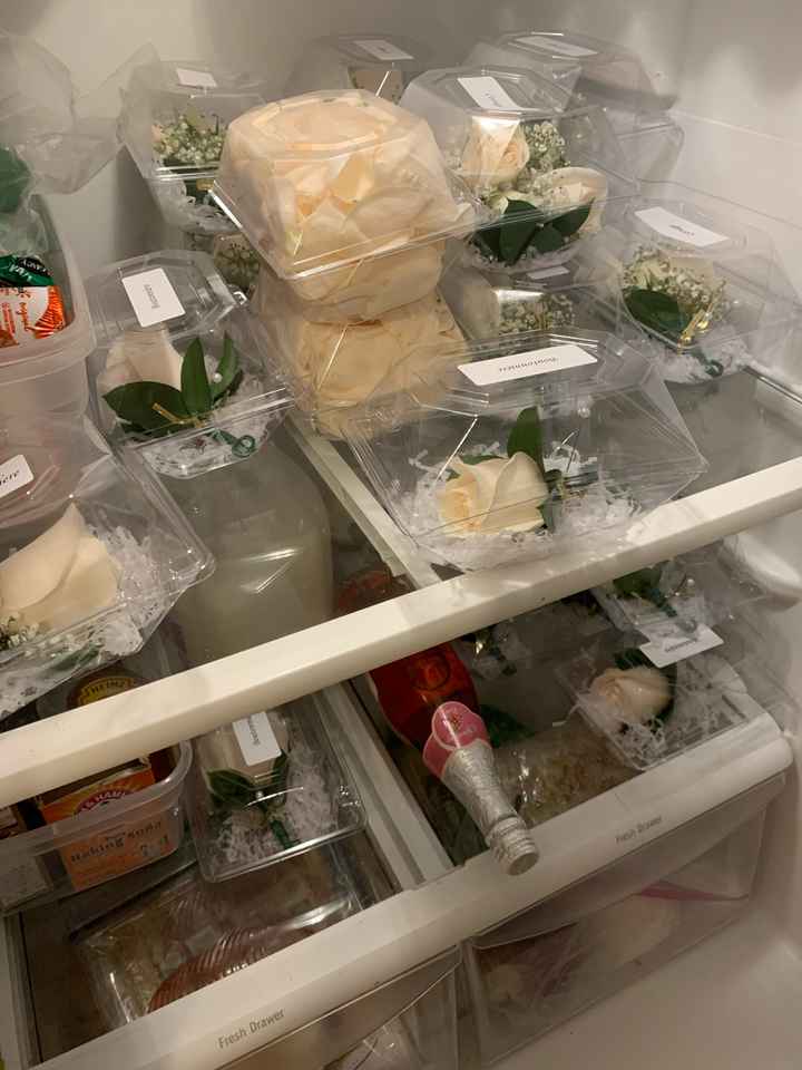 Sam’s Club Flowers (picture Heavy) - 8