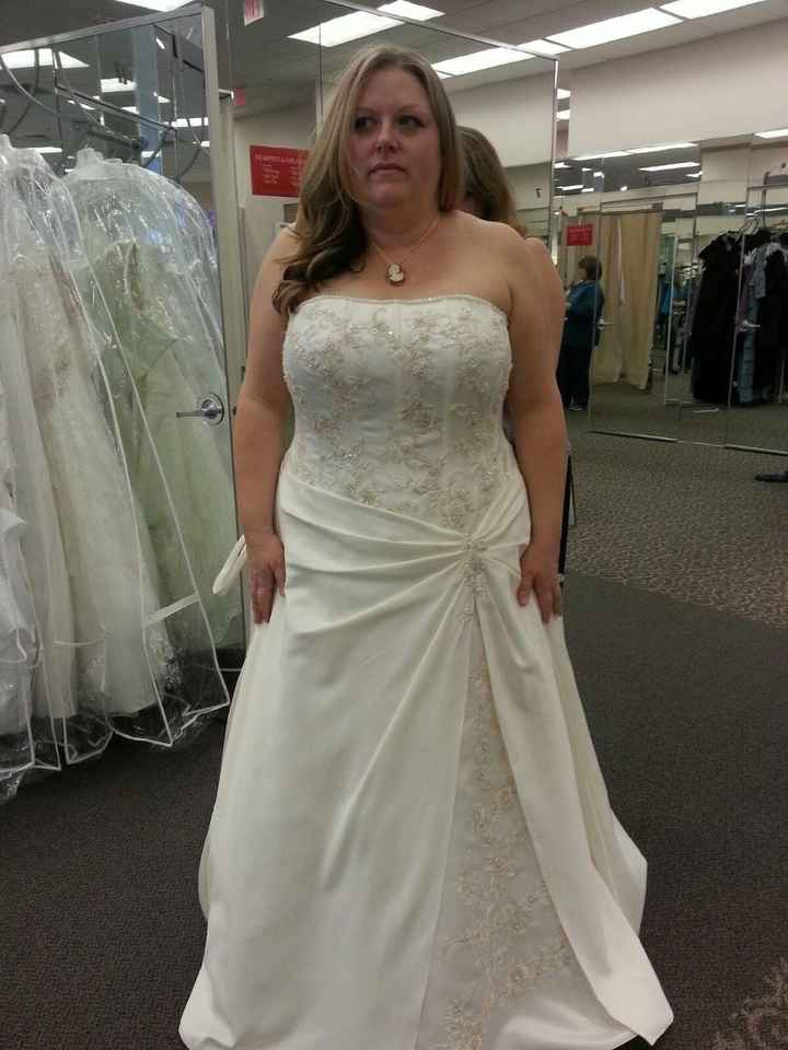 Anyone have there wedding dress picked out? Pics?