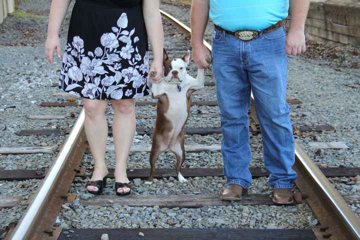 NWR: Lets See Your Fur Babies!