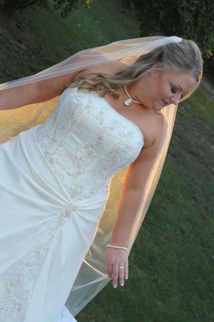 plus size brides - as in size 24 up, what dress sillouette did you pick? please show pics!