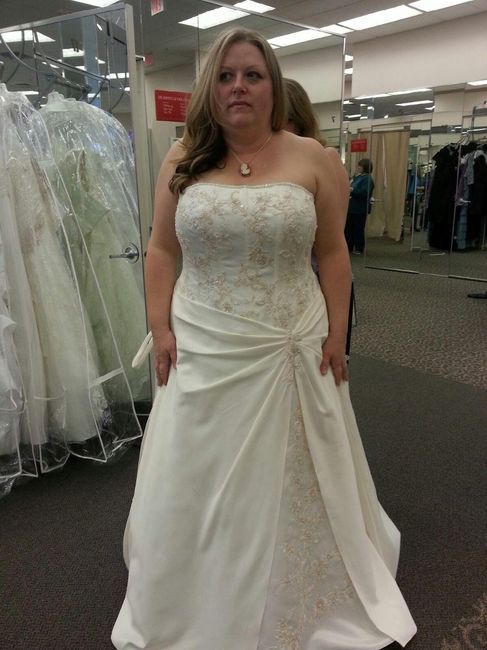 Anyone have there wedding dress picked out? Pics?