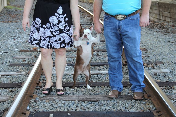 NWR: Lets See Your Fur Babies!