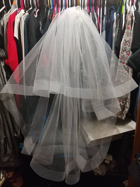 Veil! Not the best picture but it is perfect! Seller: MyJasmineCorner