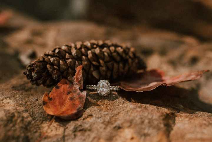 Did you pick your ring or were you completely surprised? - 1