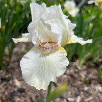 Brides of 2022! Show us your ring! - 1