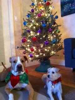 NWR: Merry Christmas!