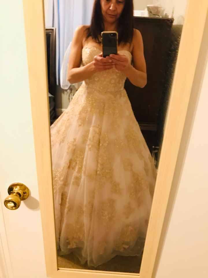 Show me your bustles, please! - 2