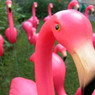 lawn_flamingo