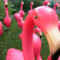 lawn_flamingo