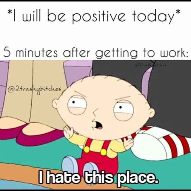 Show Me Your Work Memes