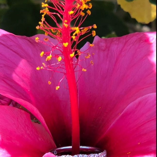 What’s your shape? 💎 - 1